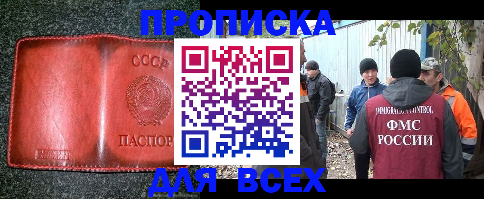 временная регистрация поиск в Александровске